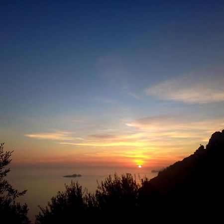 L'Uliveto Bed & Breakfast Positano Ngoại thất bức ảnh