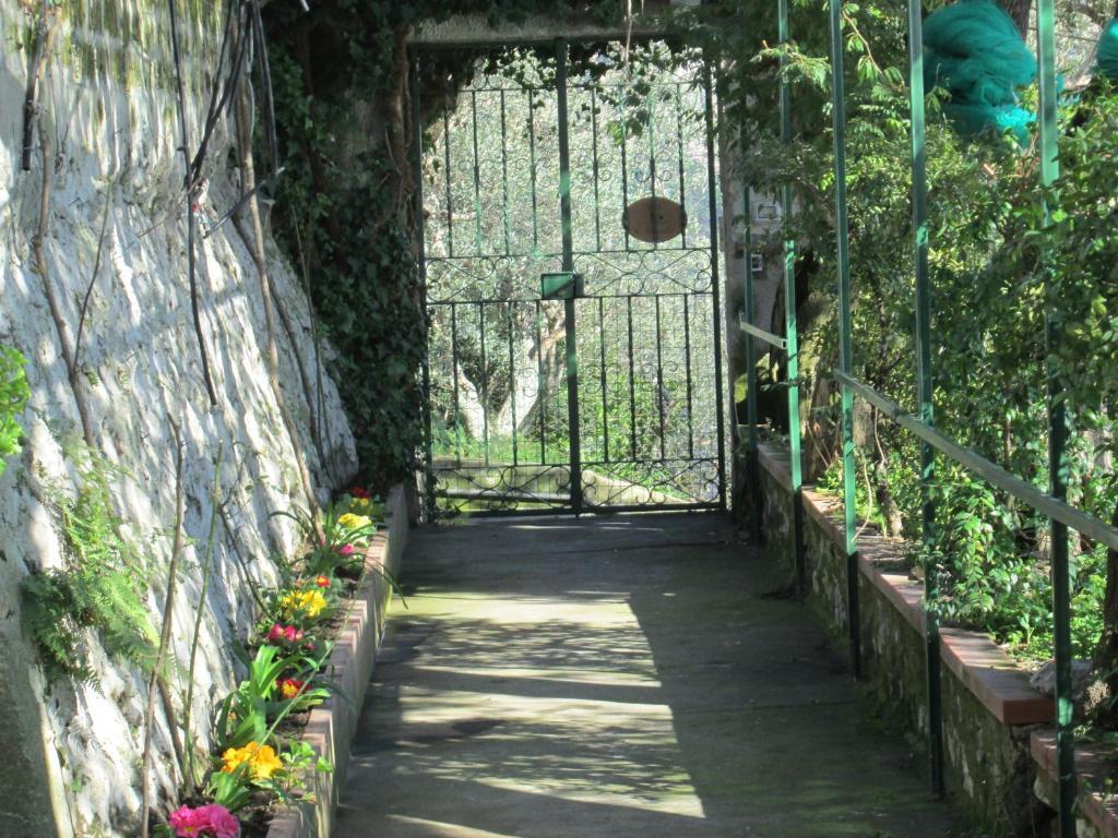 L'Uliveto Bed & Breakfast Positano Ngoại thất bức ảnh