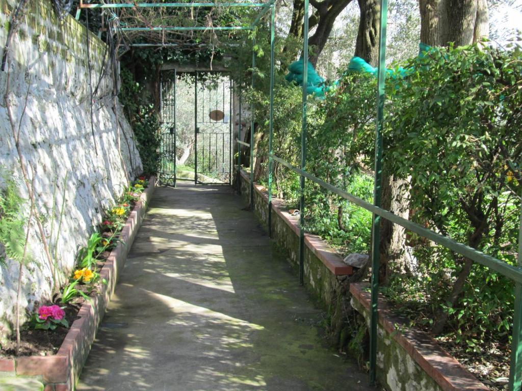L'Uliveto Bed & Breakfast Positano Ngoại thất bức ảnh