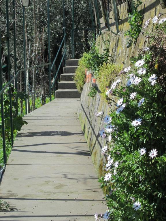 L'Uliveto Bed & Breakfast Positano Ngoại thất bức ảnh